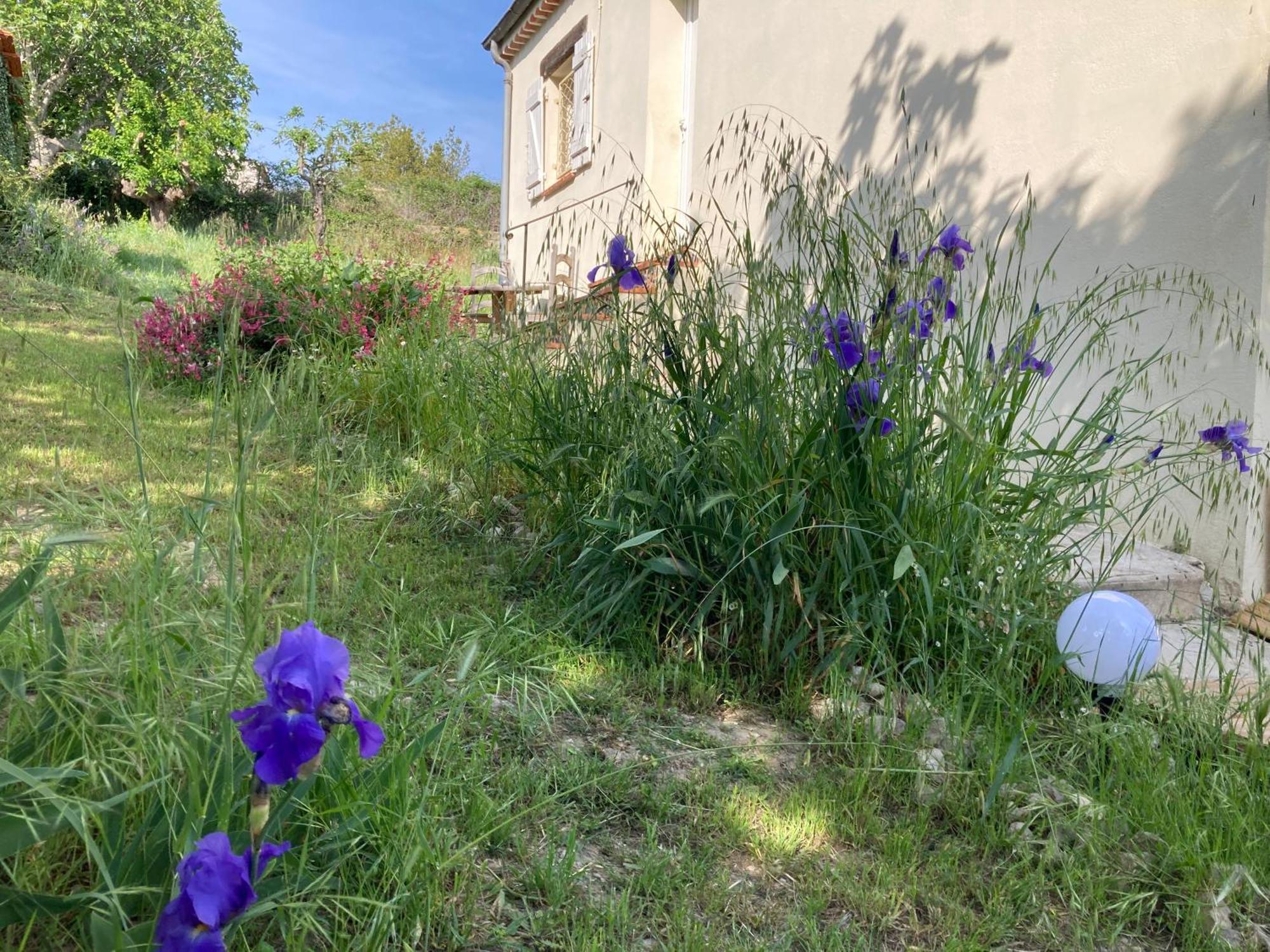 Villa Les Figuiers Cagnes-sur-Mer Buitenkant foto